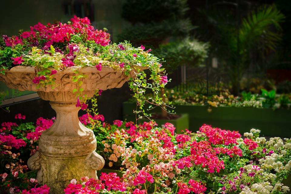photo of flowers in a conservatory garden room